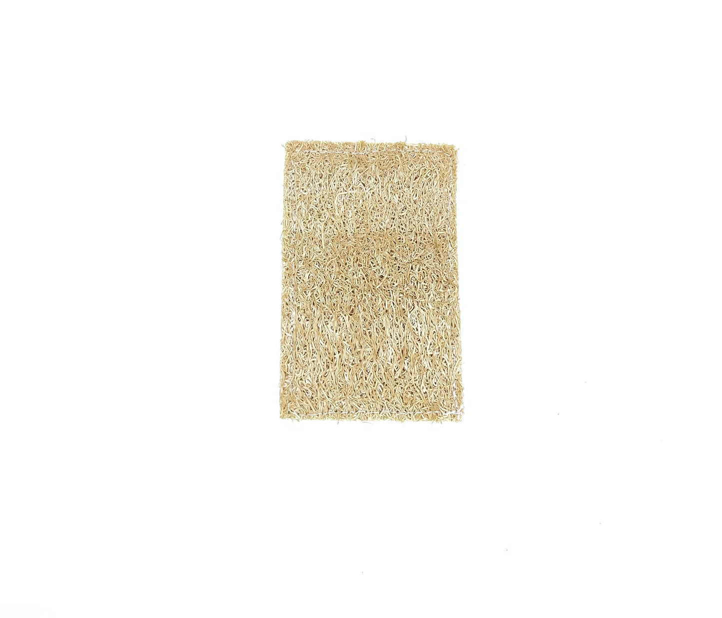 Eco-friendly dish sponge (3 packs)